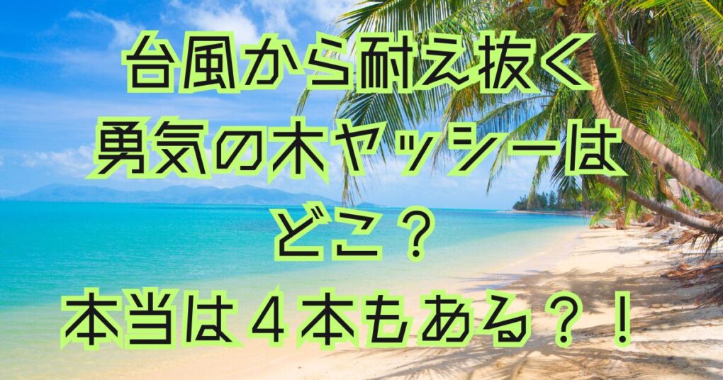 ヤッシーはどこ？枕崎市内のホテル！本当は４本もあった！【画像あり】