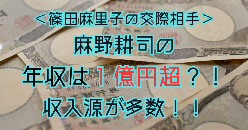 麻野耕司の年収は１億円超？！収入はどこから？CEOや社外取締役も！