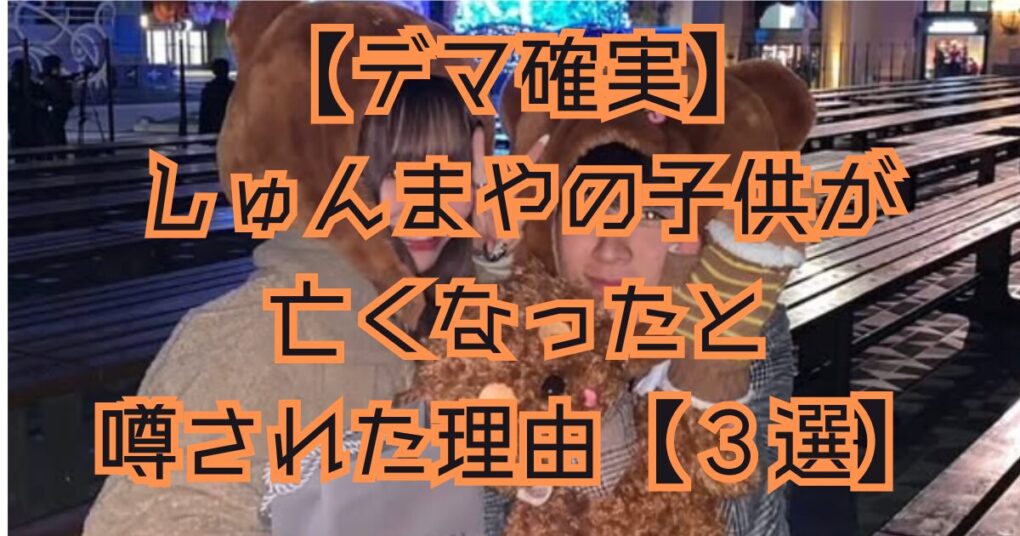 【デマ】しゅんまやの子供が亡くなったと噂された理由【３選】